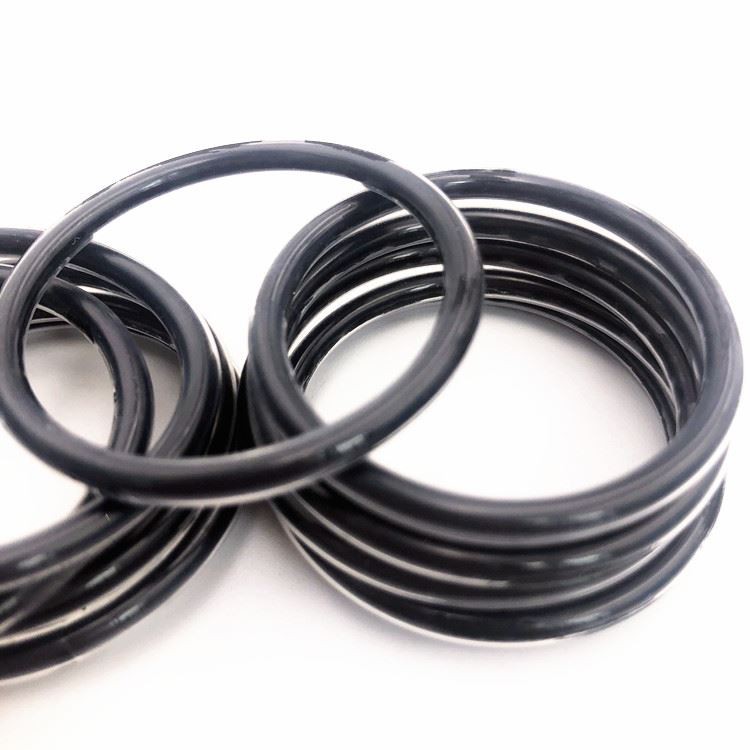 Encapsulated viton Oring3 Encapsulated viton Oring3