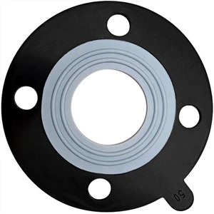 Vòng đệm cao su EPDM ngoại quan PTFE