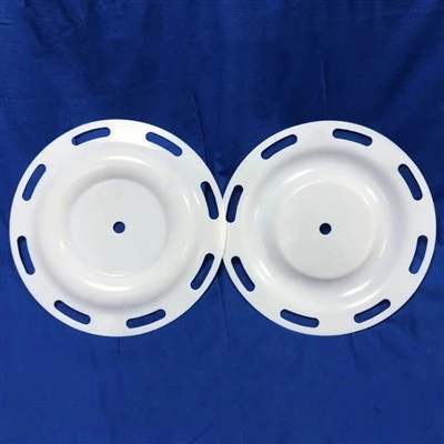 Bộ van màng PTFE Màng bơm